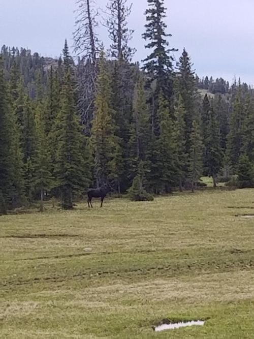 2019 Nationals Boise, ID