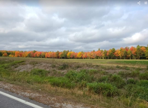 2020 Acadia Nat. Park